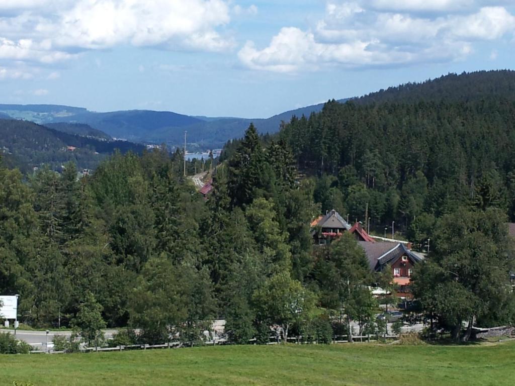 Schwarzwald-Chalet Feldberg Feldberg  Kültér fotó